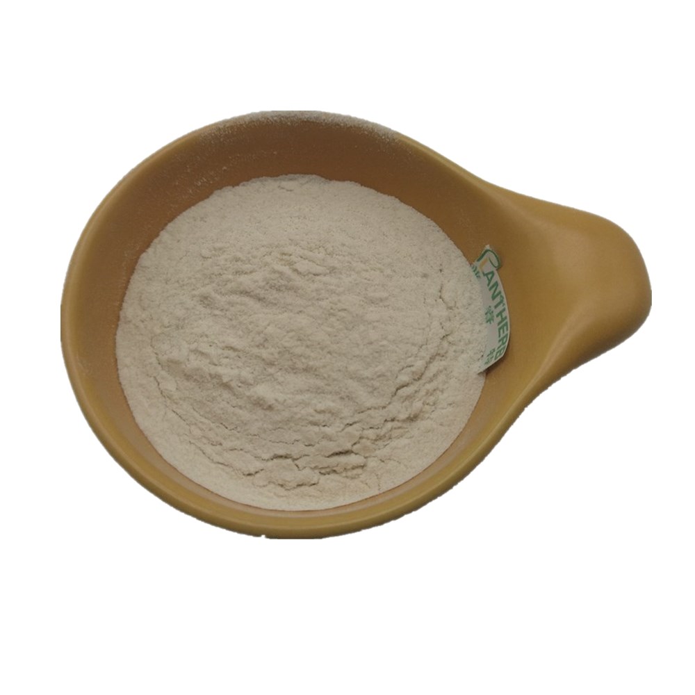 Factory Flavor Enzyme Enzyme Powder Flavourzyme Powder 30,000 U/g Food Grade Flavourzyme Enzyme Powder