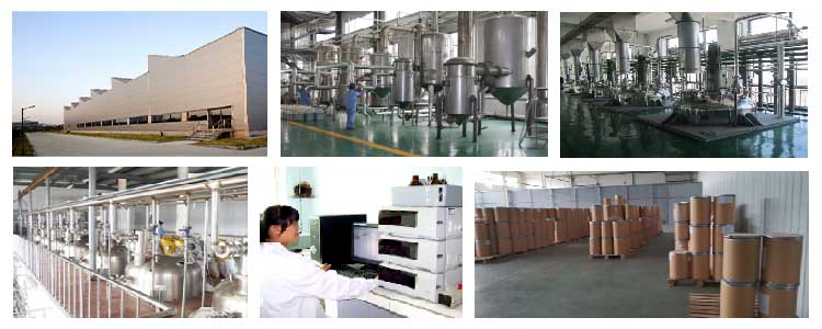 Factory Facility Inside