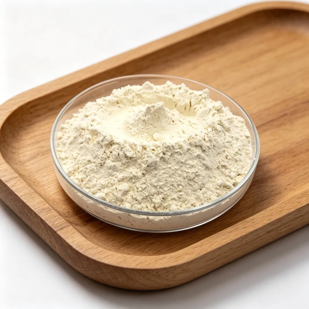Vital Wheat Gluten Ingredient for Protein Enrichment in Foods