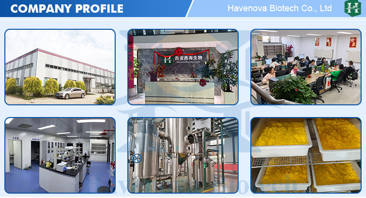 Manufacturing Scene 2