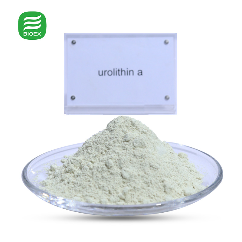 Premium Natural Urolithin a 98% Microbial Fermentation Nutraceutical Ingredient