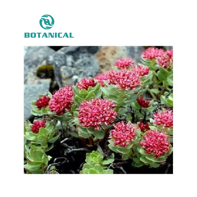 B.C.I Supply Rhodiola Rosea Extract Powder 3% Salidrosides for Cosmetic/Dietary Supplement Ingredients