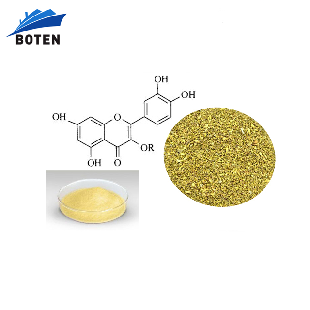 Wholesale Bulk Rutin Quercetin Kaempferol Active Ingredients Sophora Japonica Extract