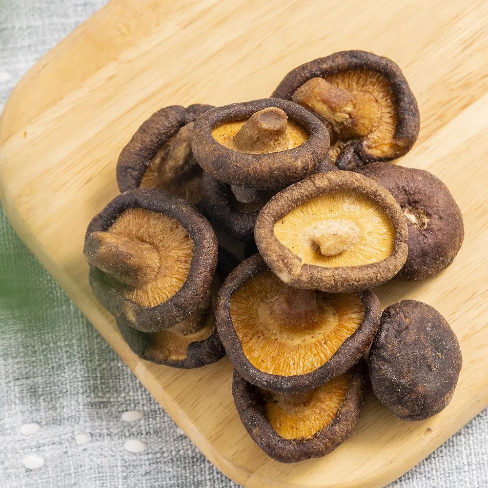 No Animal Ingredients Vegan Low-Temp Fried Shiitake Crisps