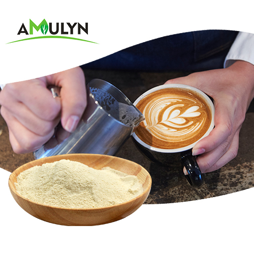AMULYN 100% Pure Natural Enzymolysis Oat Powder Ingredients