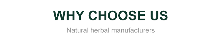 Cinnamon Bark Extract Specifications