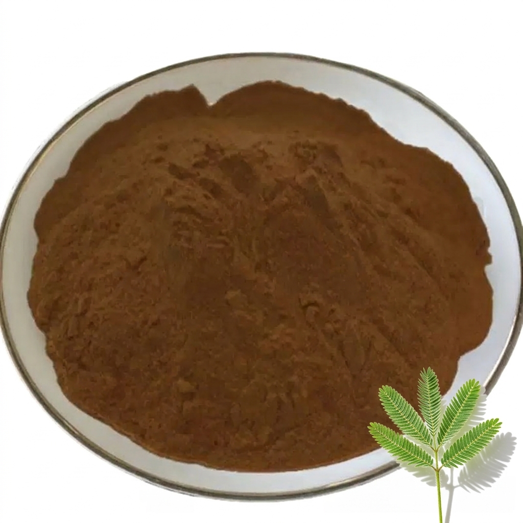 Active Fermented Mimosa Pudica Extract Powder Natural Plant Enzyme for Sensitive Skin Soothing and Repairing Ingredients