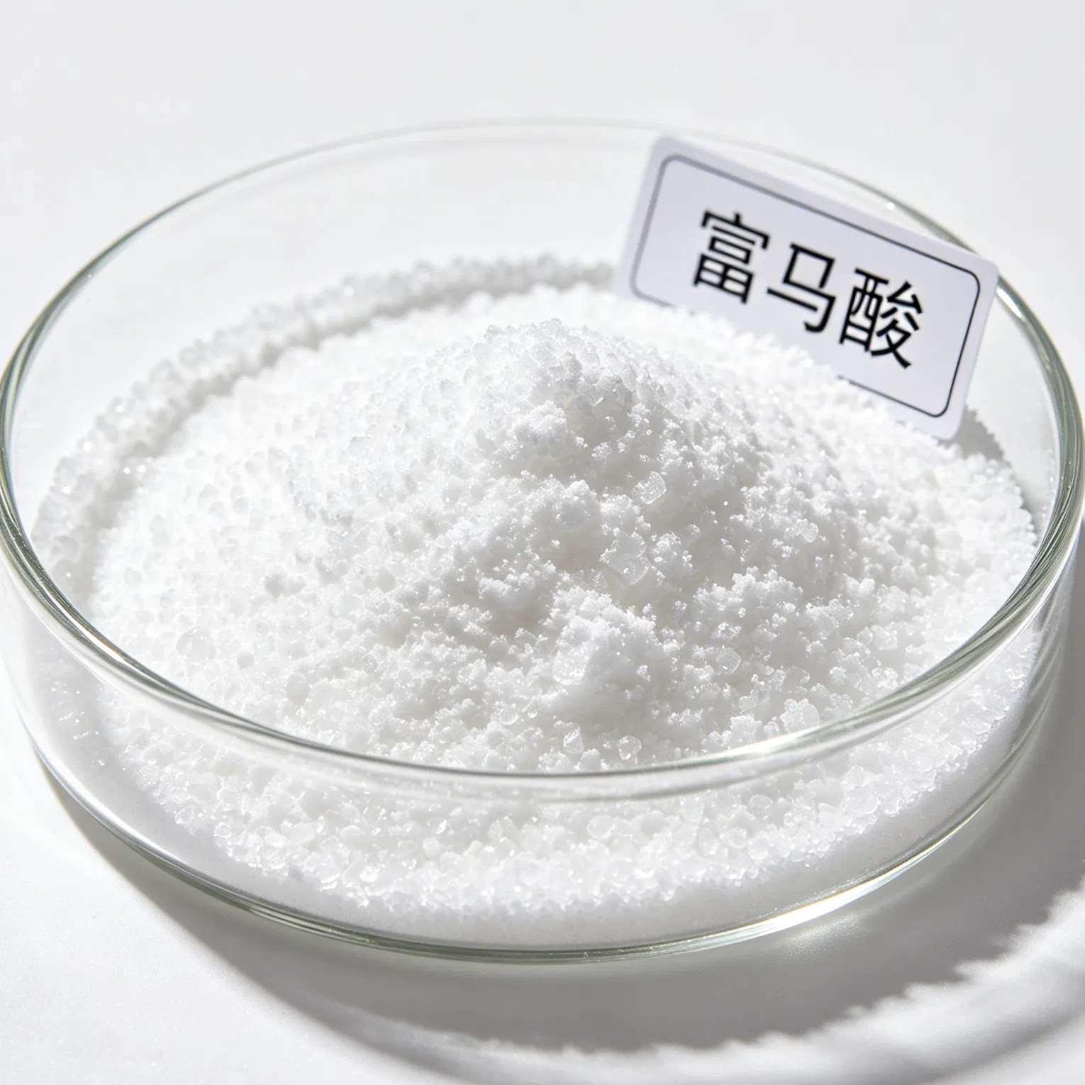 Versatile Fumaric Acid Nutraceutical Ingredient for Food Applications