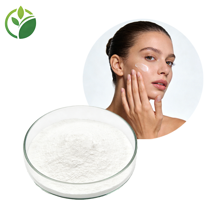 Acetyl Hexapeptide-8 Anti-Aging Ingredient Lyophilized Powder Stable Activity CAS 868844-74-0