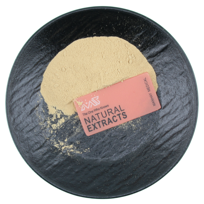 Manhay Supply Pediococcus Pentosaceus Food Ingredients Probiotics Powder