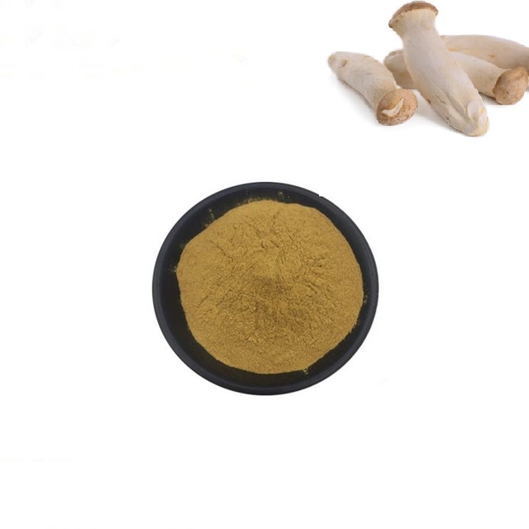 King Oyster Mushroom Extract Powder Details