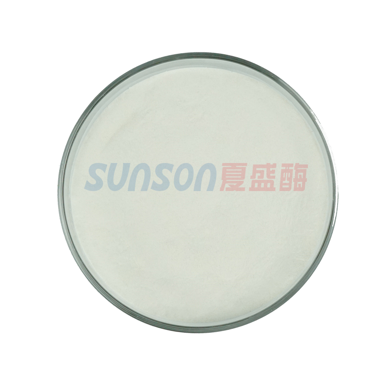 Baking Xylanase Enzyme for Food Processing Bakery Bread Improver, Bakery Ingredients for Dough Conditioner