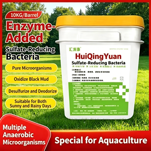 Huiqingyuan Enzyme Added Sulfate-Reducing Bacteria Granules 10kg Oxidize Black Sludge &amp; Remove H2S Odor For Fish &amp; Shrimp Ponds