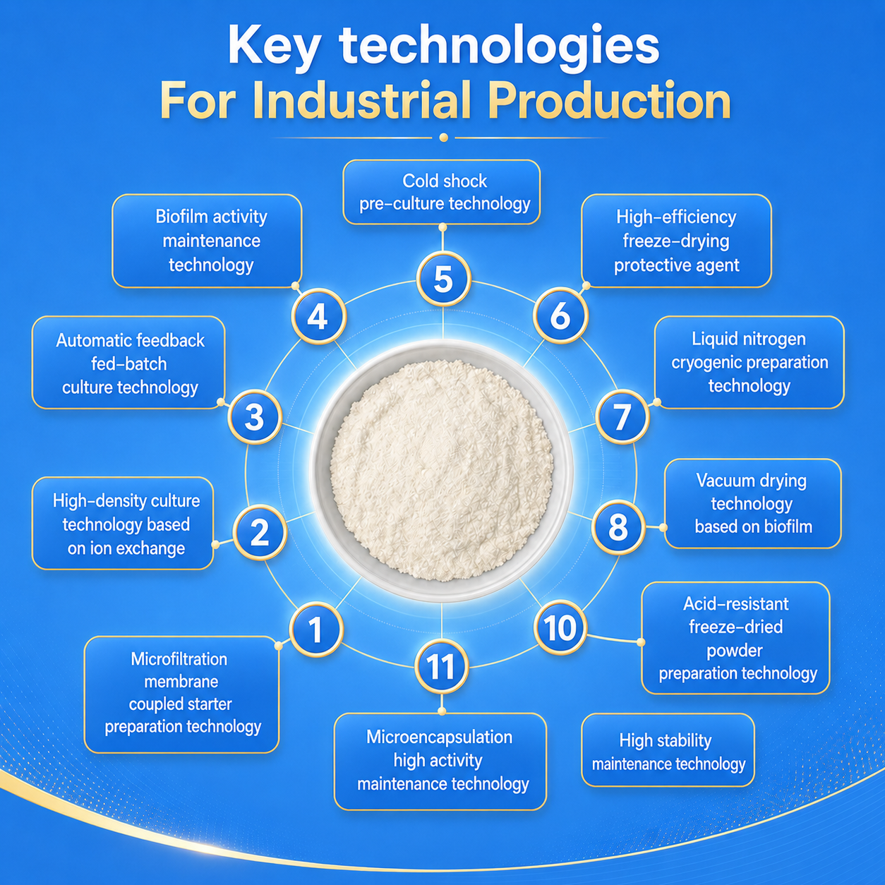 High Quality Premix Probiotics Raw Material Powder Contain Lactobacillus Acidophilus L59 Support OEM ODM For Strengthen Immunity