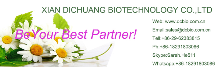 Natural Herbal Flos Inulae Extract Powder 10:1 Flos Inulae P.E