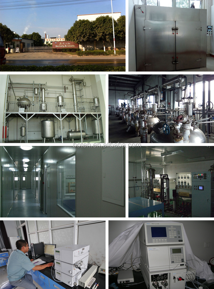 Facility and Production Equipment