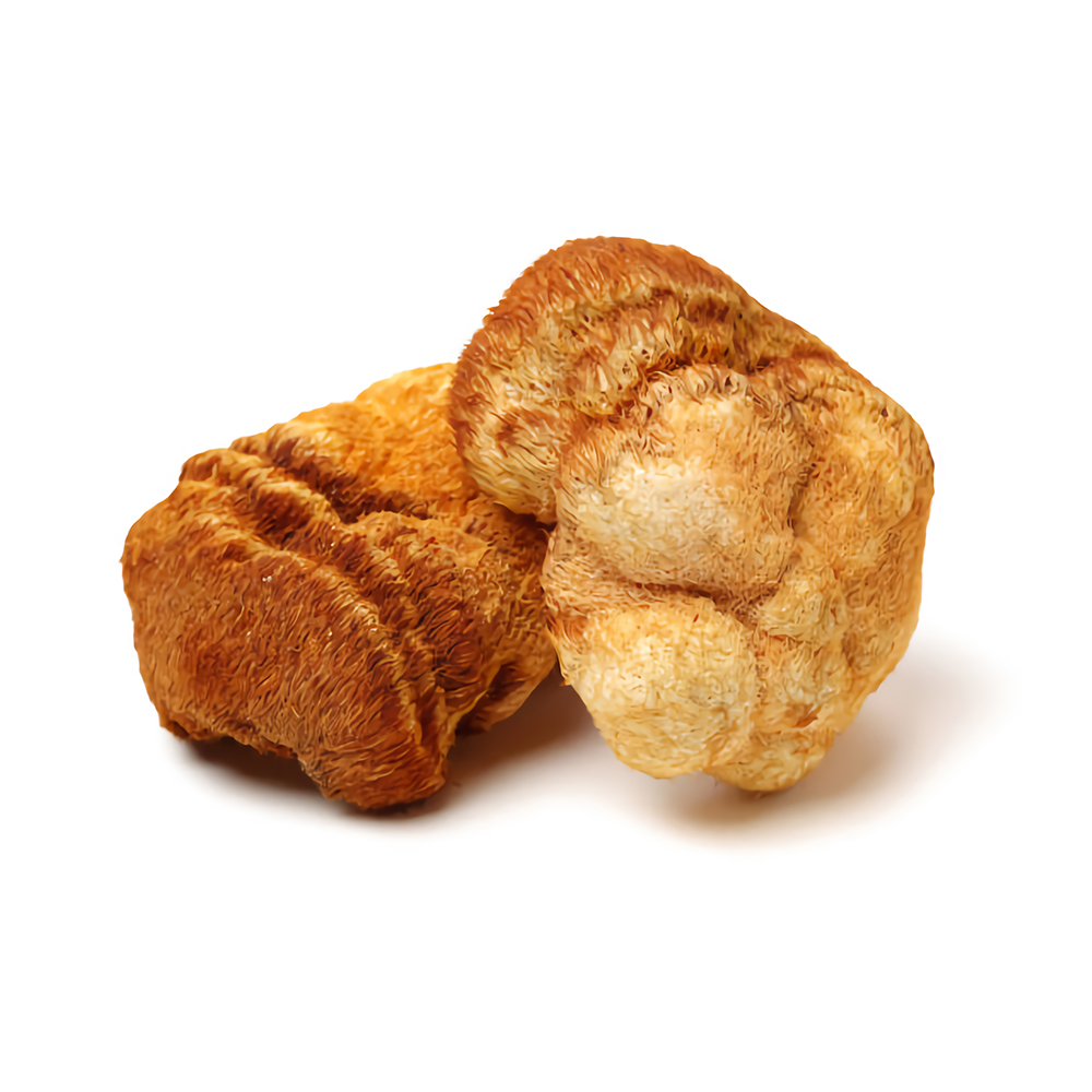 Organic Dried Lion's Mane Mushrooms Whole Dried Lion's Mane Sliced For Cooking Hericium Erinaceus Medicinal Mushrooms