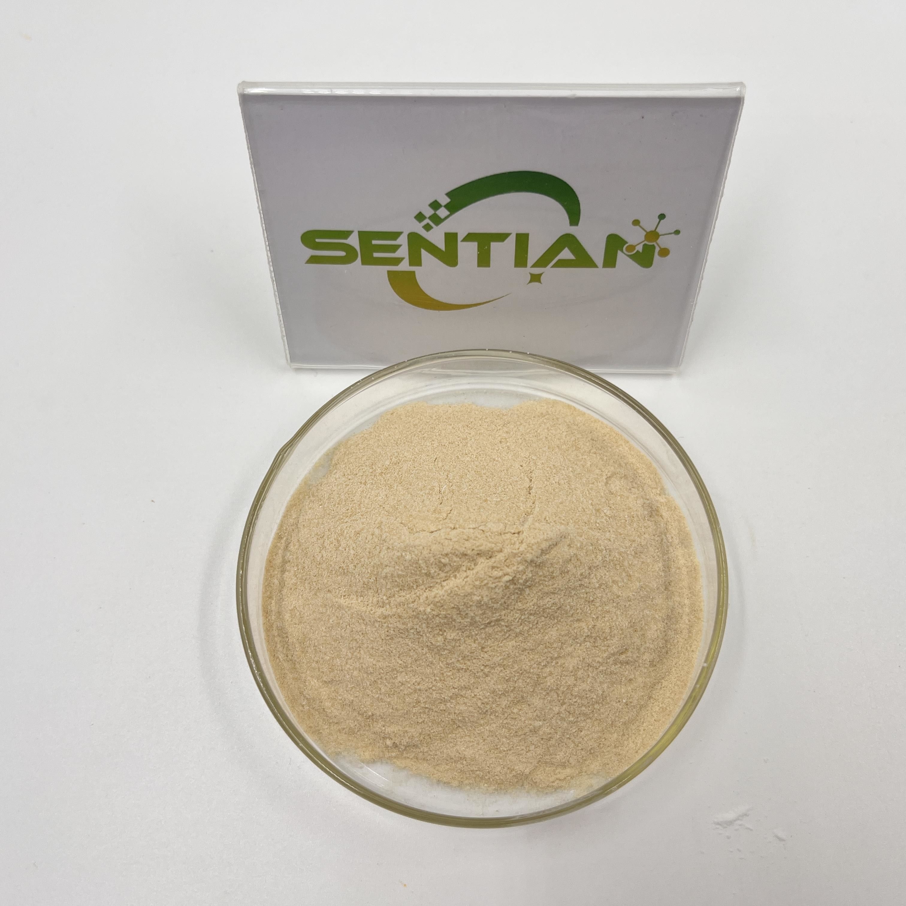 Food Additive Yeast Extract Enzyme Factory Supply Hot Sale Yeast Extract Enzyme Food Grade Nutritional Powder
