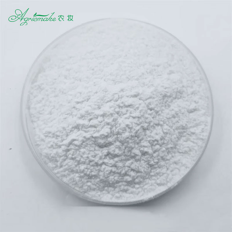 Herbal Extract Botanical Exfoliating Powder 99% Purity Mild Skin Polishing Wild Hydrolyzed Sponge for Natural Face Cream
