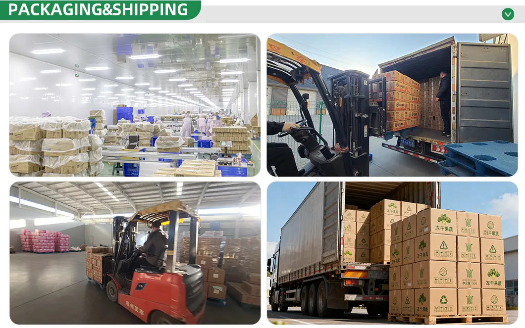 Standard Export Packaging and Logistics System