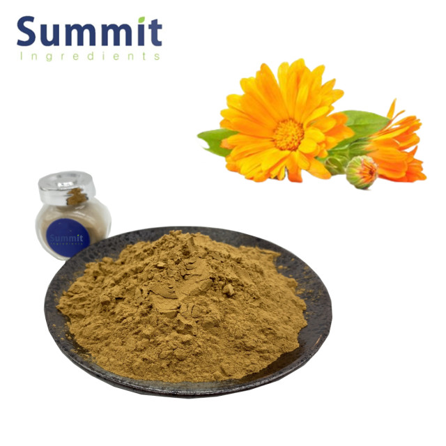 Natural Marigold Extract/Calendula Officinalis Extract Powder 10: 1 Marigold Flower Extract