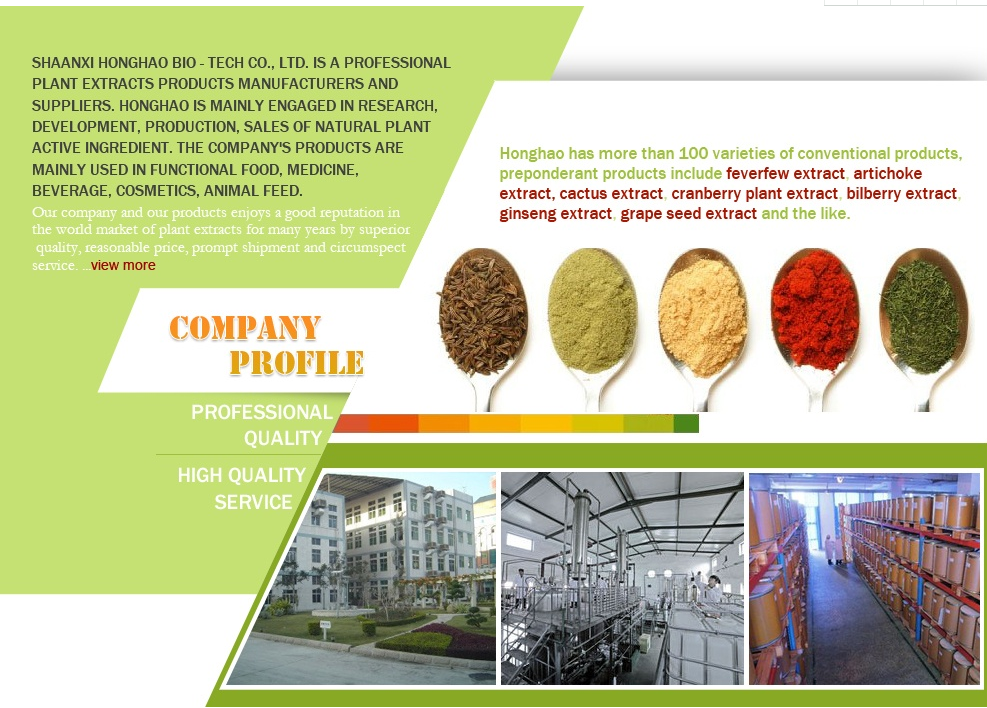 Why Choose Us Diagram