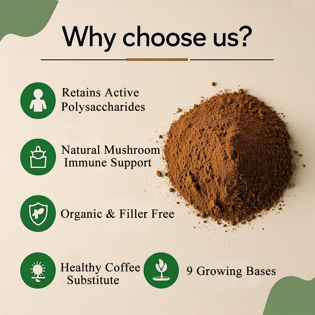 Functional Mushroom Tea Mix Vegan-Friendly Adaptogenic Herbal Blend for Wellness