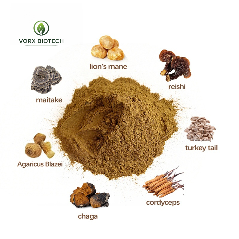7 in 1 Mushroom Blend Powder for Immune and Daily Wellness Functional Mushroom Supplement OEM Private Label