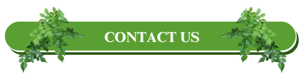 Contact Us Banner