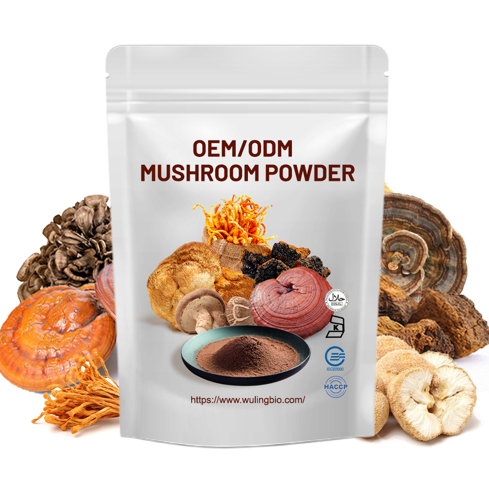 Mushroom Blend Extract