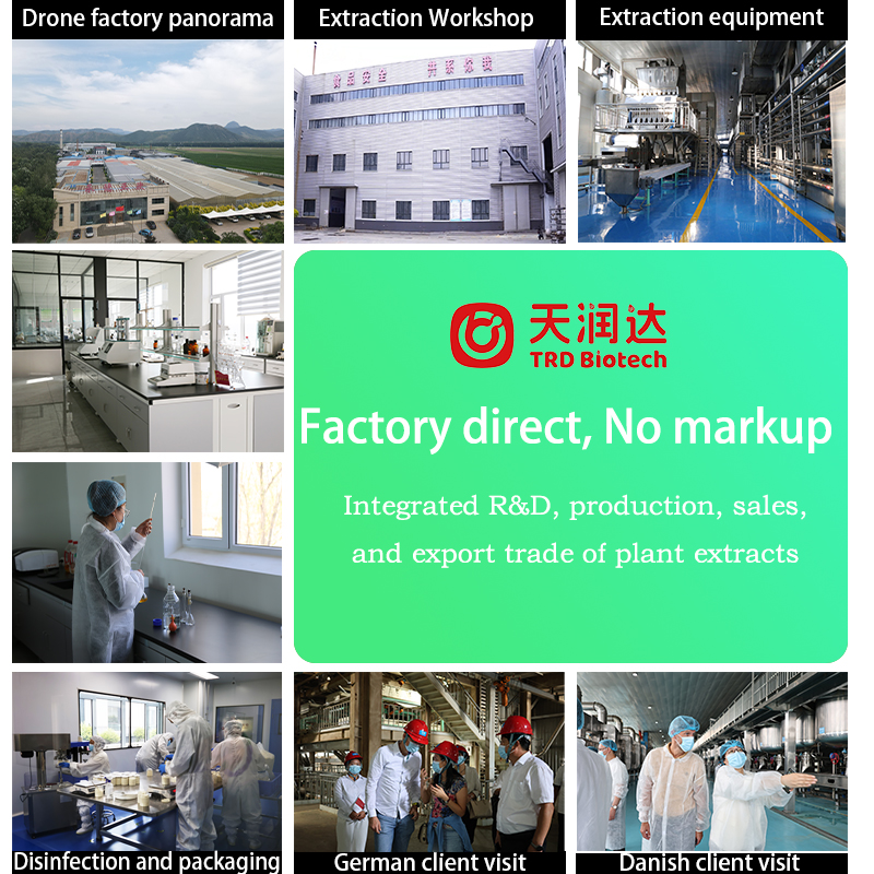 Milk Thistle Extract Powder 70% Silymarin UV Standardized Herbal Extract for Dietary Supplement Ingredient Bulk Supply