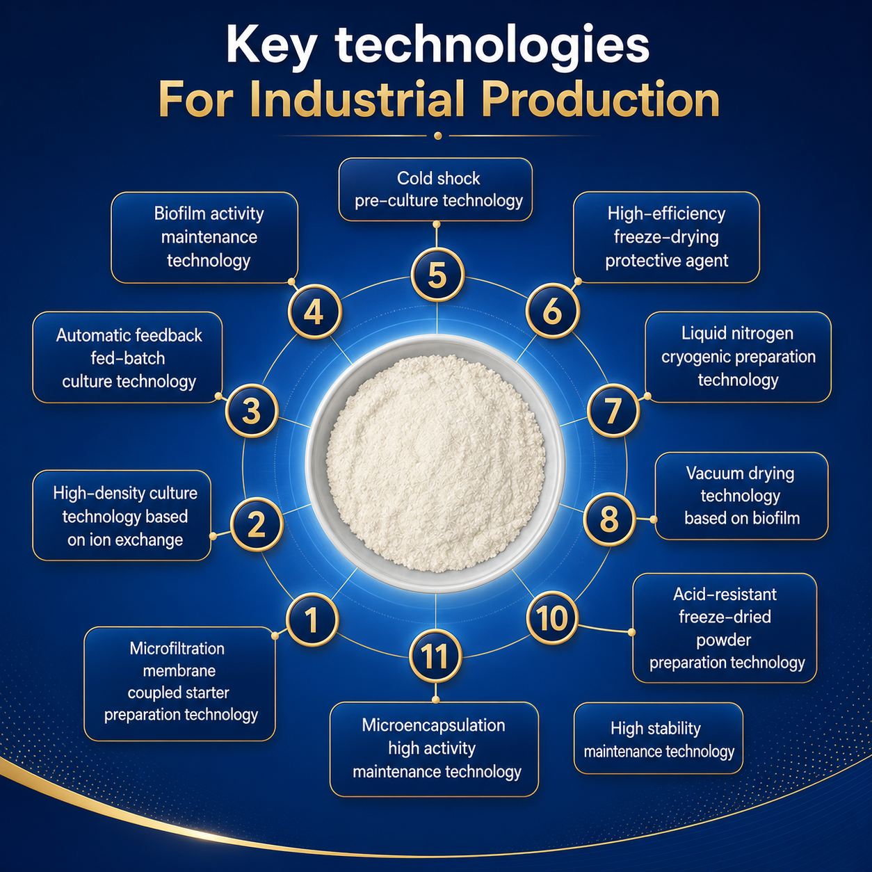 Manufacturer Supply Lactobacillus Bulgaricus HB68 Freeze-dried Probiotic Powder Raw Materials for Improve Digestion Bulk Supply