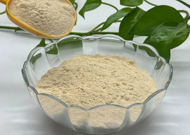Core advantages of Soya Protein Concentrate