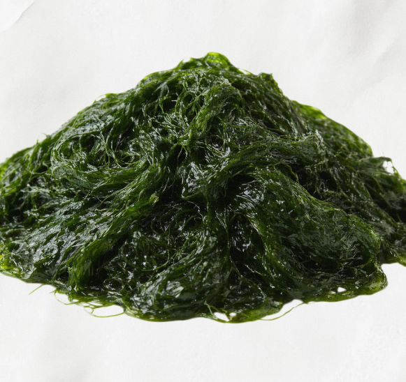High Potency TW Maesaengi PDRN 100ppm Liquid Plant Extract Cosmetic Raw Material Marine Algae Derived Polynucleotide