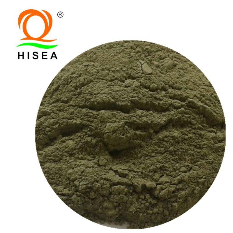 Premium Aquatic Feed Ingredients: Ulva Lactuca Meal for Sustainable Nutrition