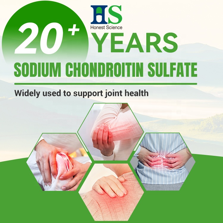 Marine Fish-Derived Chondroitin Sulfate Sodium Powder | 90% Purity | GMP Certified Factory | Bulk Direct Supply
