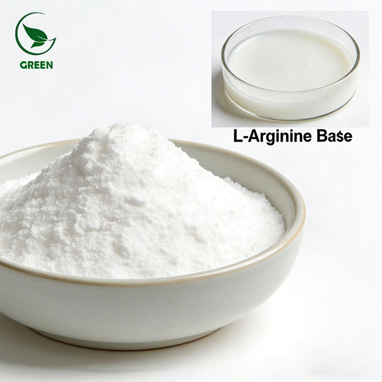 L-Arginine Base Powder Food Grade Food Additives for Sports Nutrition