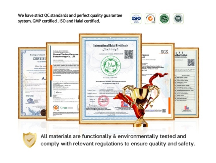 Certificate 1