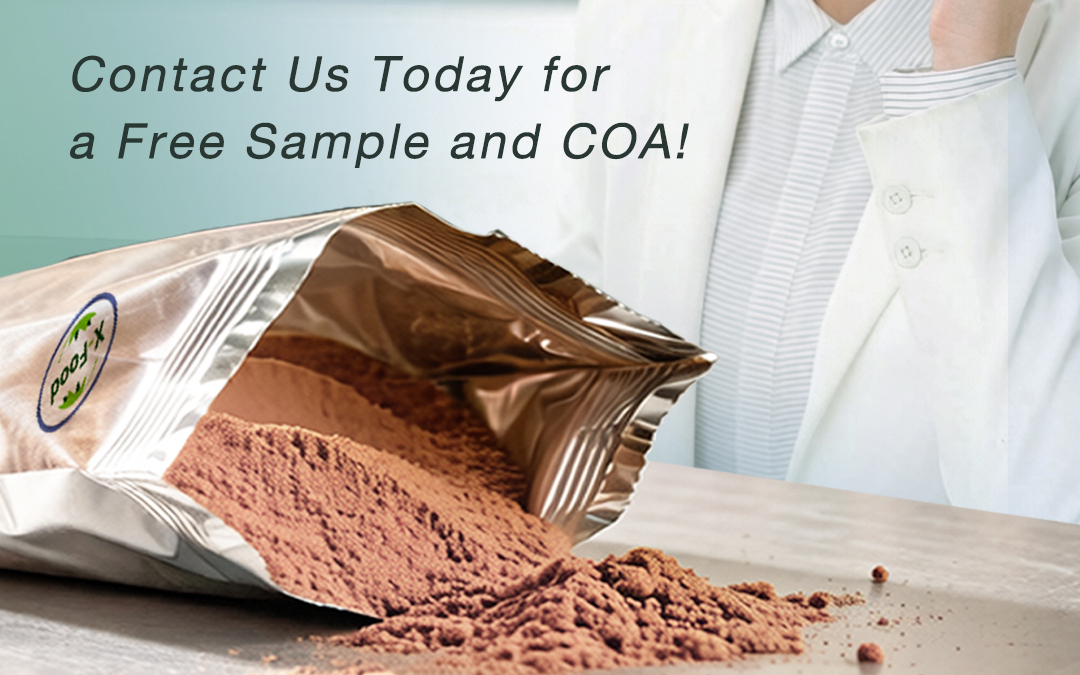 Fermented Protein Powder Model Scp a | Functional Protein Ingredient Bulk Supply From China