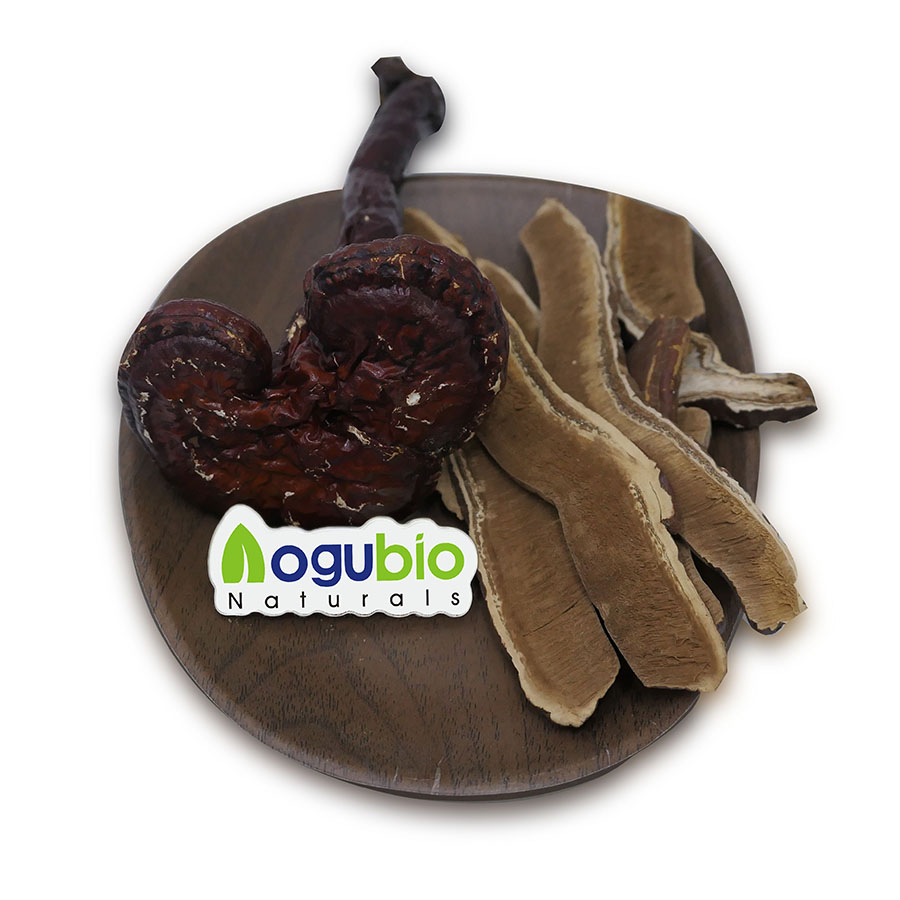Private Label Reishi Mushroom Powder Purely Natural Reishi Mushroom Powder Capsules