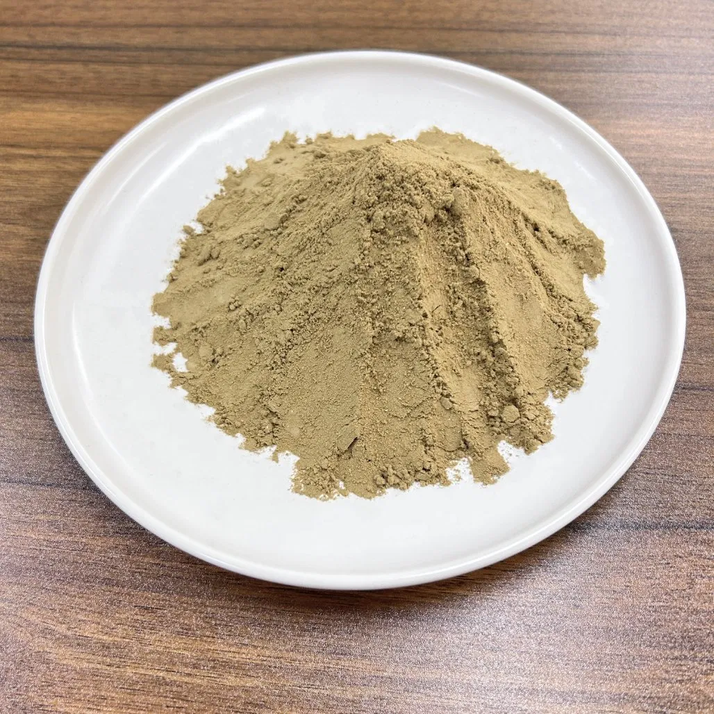 Chicken Hydrolysate Powder Functional Ingredient Rich in Bioactive Protein