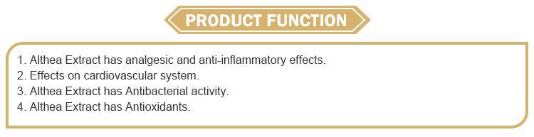 Althea Extract Details 1