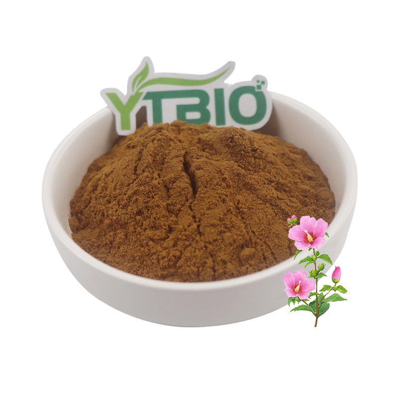 Althaea Rosea Extract 10:1 Althea Root Extract Powder ISO-Certified Herbal Ingredient for Supplements
