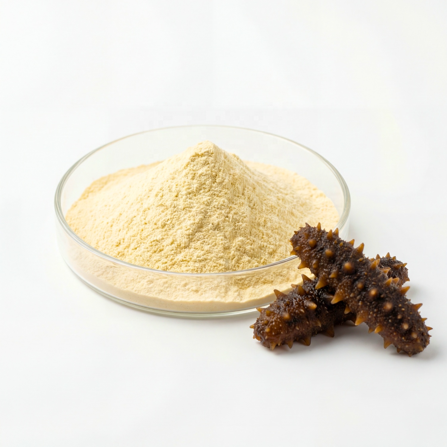 Sea Cucumber Peptide Powder 2-20 Amino Acids Low Temperature Enzymolysis Immunity Support Raw Material