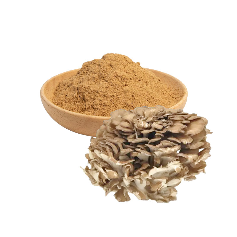 Bulk Wholesale Maitake Mushroom Powder Pure Dried Mushroom Powder for Herbal Supplements, Capsules &amp; Functional Food Ingredients
