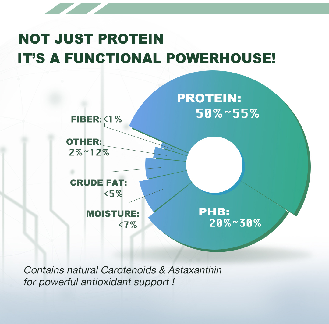 Fermented Protein Powder Model Scp a | Functional Protein Ingredient Bulk Supply From China