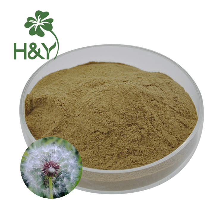 Pure Dandelion Extract Powder