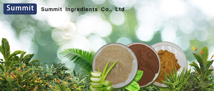 Calendula Officinalis Flower Extract Banner