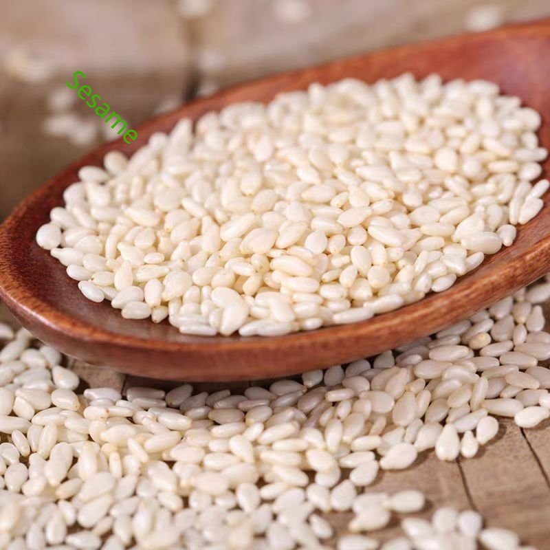 Roasted White Sesame/ 2021/Healthy Ingredient