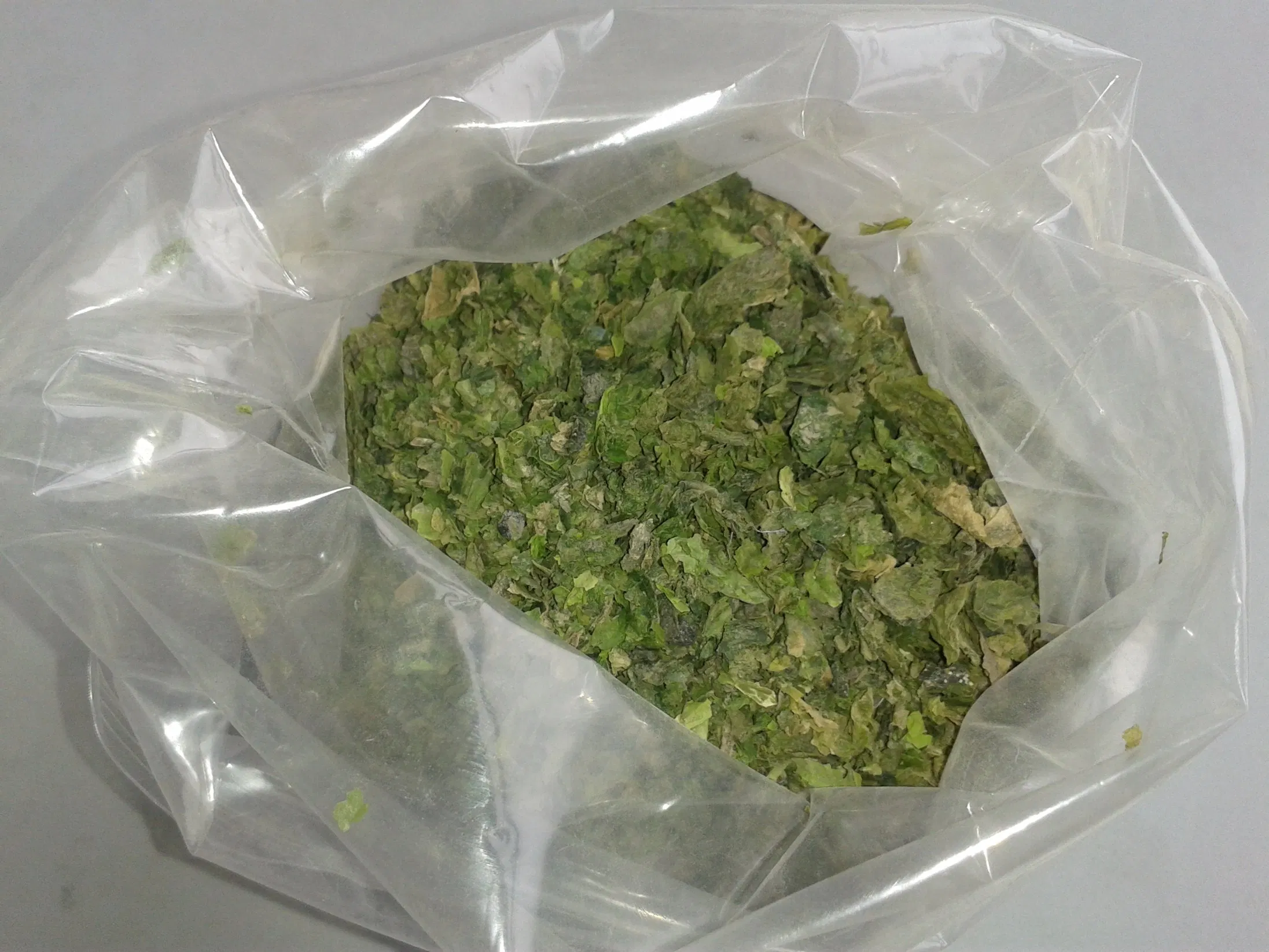 Premium Aquatic Feed Ingredients: Ulva Lactuca Meal for Sustainable Nutrition